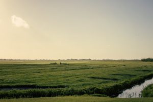 betalingsrechten, vergroeningspremie, jonge boeren premie